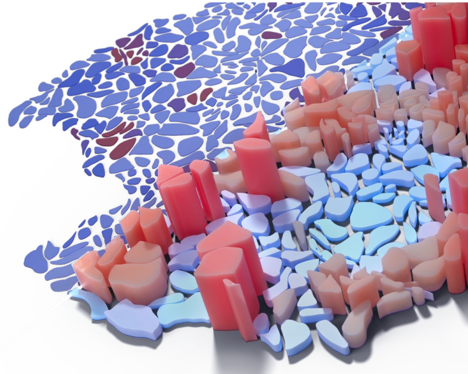 Immunohistochemistry (IHC) test | BostonGene
